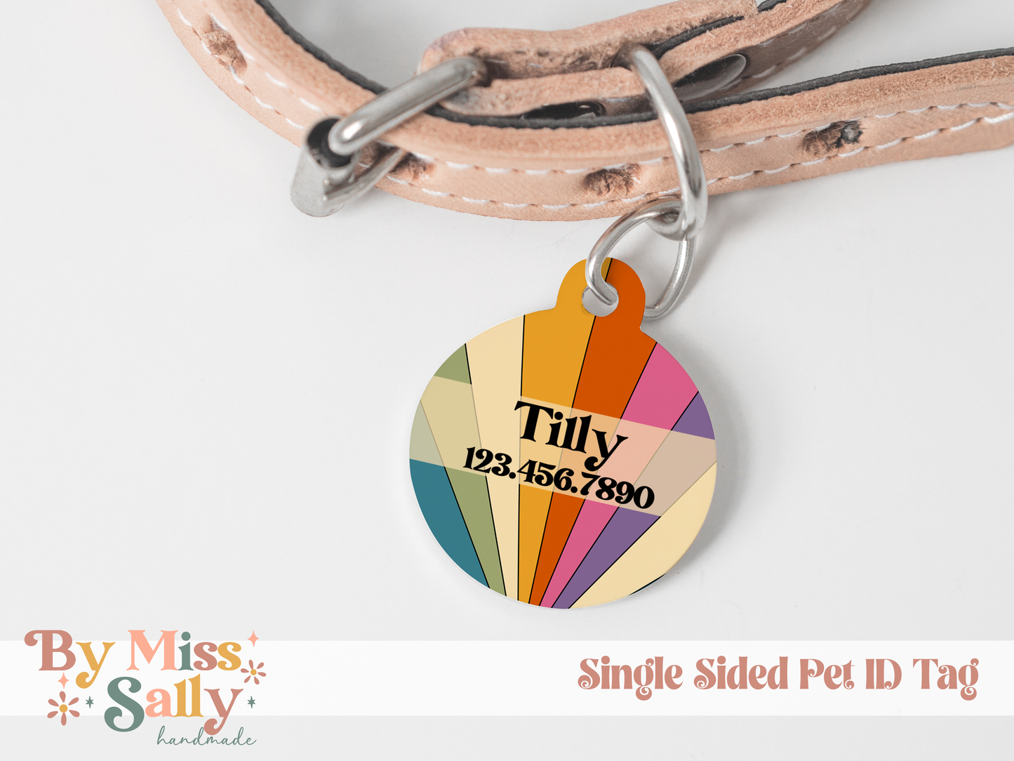 Rainbow Pet Tag