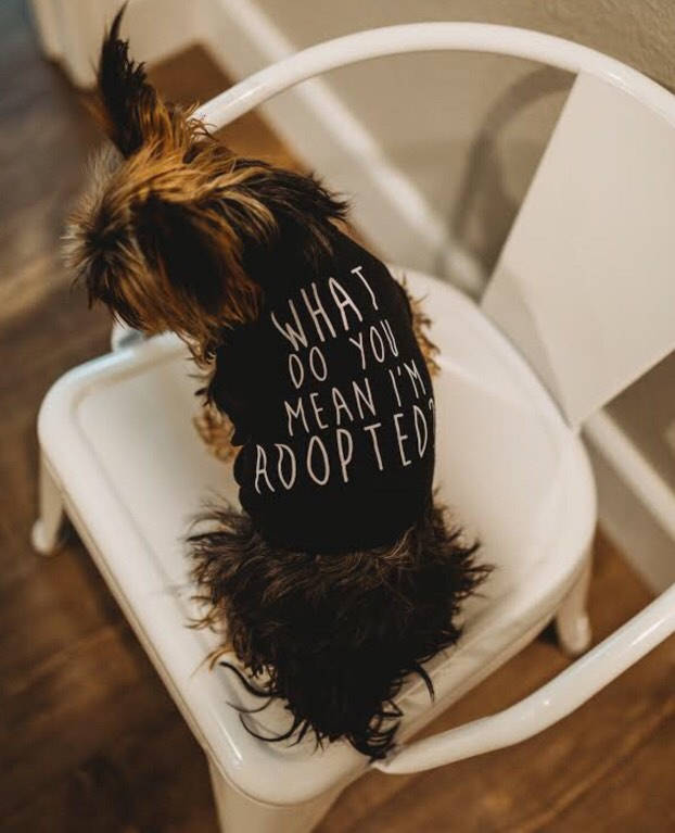 What Do You Mean I'm Adopted Dog Tee