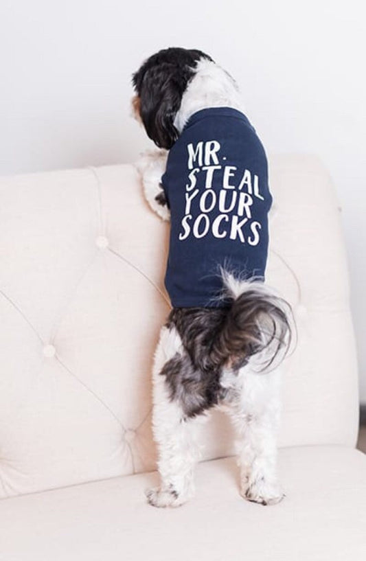 Mr Steal Your Socks Dog Shirt
