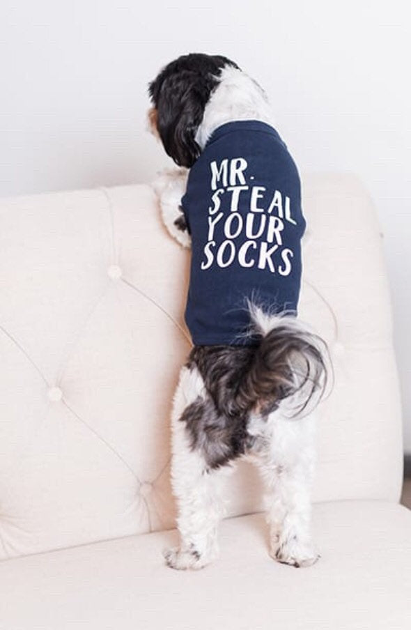 Mr Steal Your Socks Dog Shirt